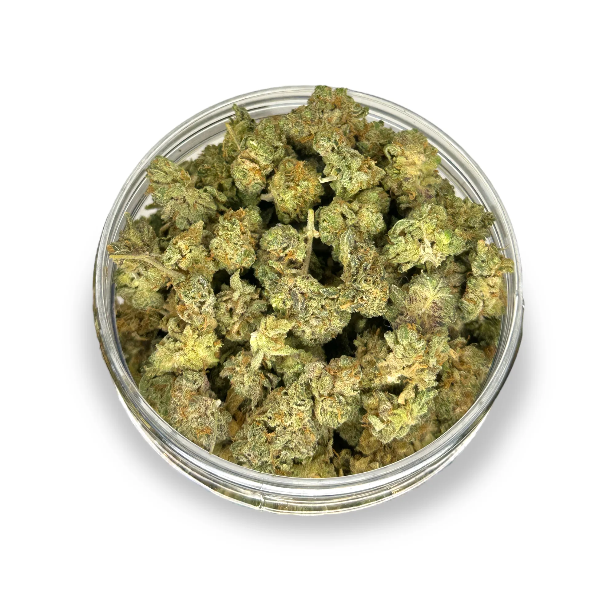 PhotoRoom_20230914_171710 PhotoRoom 20230914 171710 jpeg