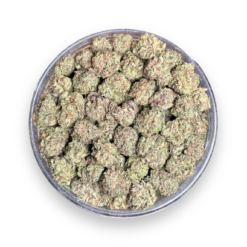 Sweet Skunk (Popcorn) AAA