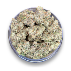 Platinum OG AAAA