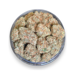 Cali Bubba AA+