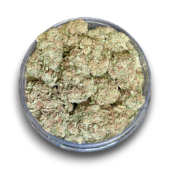 Pink Kush AA+
