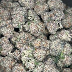 Purple Zkittlez AAAA+ By XOSZN ~ SPECIAL