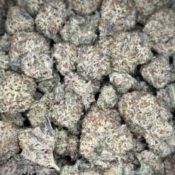 Oreo Blizzy AAAA+ By XOSZN ~ SPECIAL
