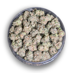 Pink Berry AAA+ (Popcorn)