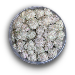 Donkey Butter (Medium) AAAA by Exotic Genetix
