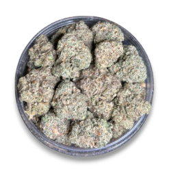 Donkey Butter AA+